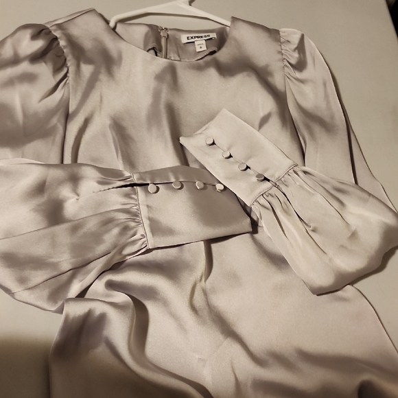 Express Dresses & Skirts - Express Shimmering Satin Dress